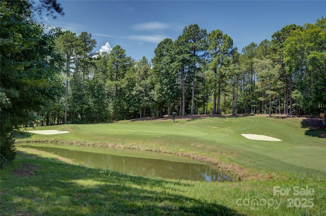 16749 Hammock Creek Pl, Charlotte, NC 28278 - photo 44