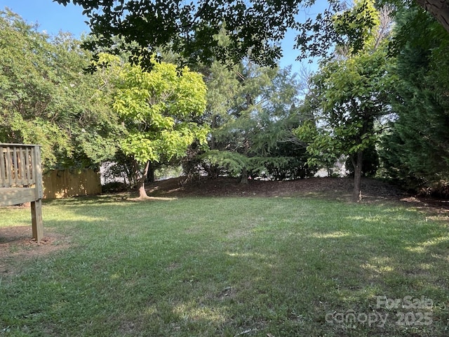 1015 Piney Church Rd, Concord, NC 28025 - view of yard
