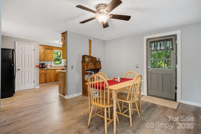 1058 Howard Gap Loop Rd, Flat Rock, NC 28731 - dining area with plenty of natural light, light wood-style flooring, a ceiling fan, and a textured ceiling