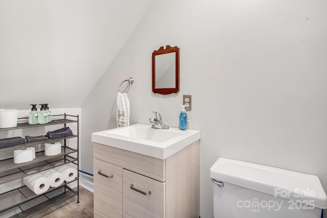 1058 Howard Gap Loop Rd, Flat Rock, NC 28731 - bathroom with vanity, wood finished floors, and vaulted ceiling