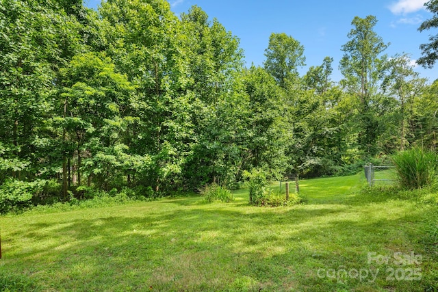 1058 Howard Gap Loop Rd, Flat Rock, NC 28731 - view of yard with a view of trees