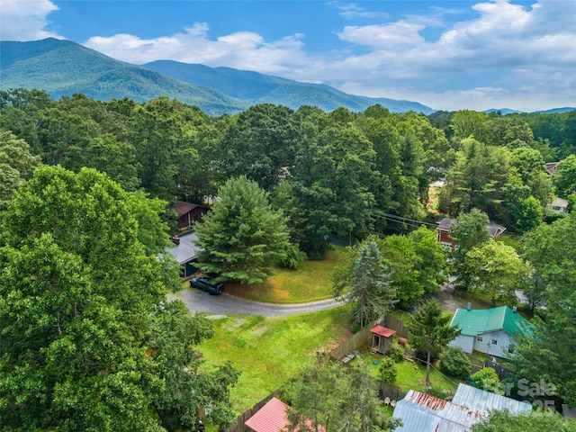 99999 W College St Tract B, Unit Tract B, Black Mountain, NC 28711