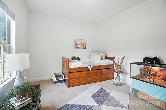 3907 Morgan Mill Rd, Monroe, NC 28110 - photo 39