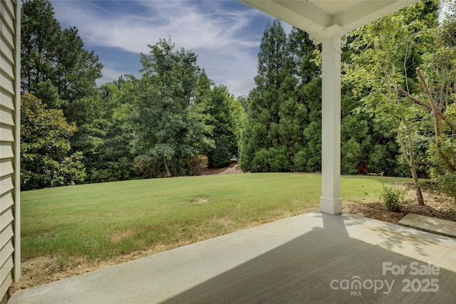 4004 Twiddy St, Fort Mill, SC 29707 - photo 24