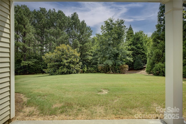 4004 Twiddy St, Fort Mill, SC 29707 - photo 25