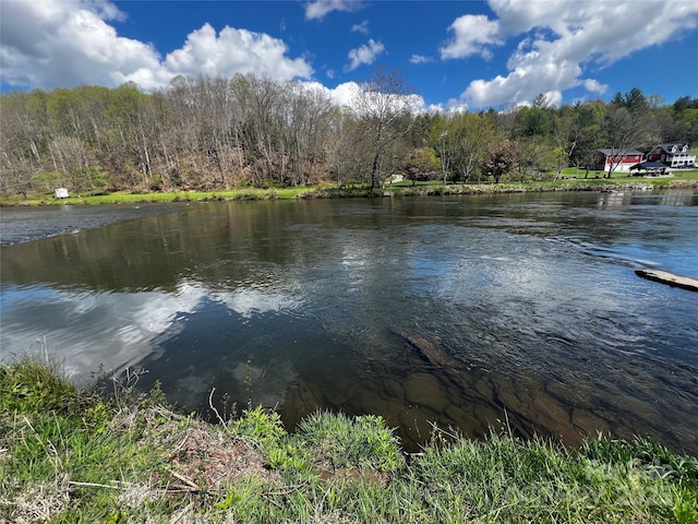 4606 Garvey Bridge Rd, Crumpler, NC 28617 - water view with a forest