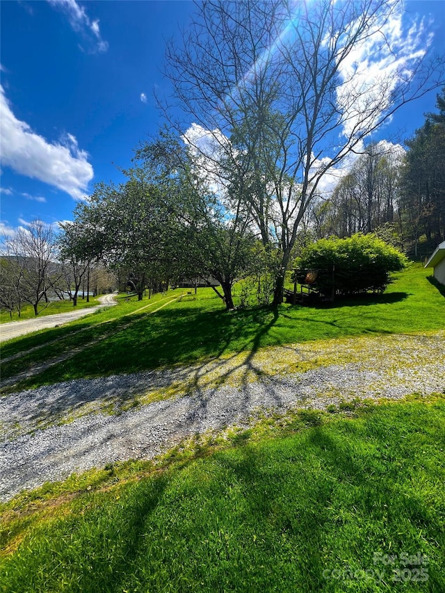 4606 Garvey Bridge Rd, Crumpler, NC 28617 - view of green lawn