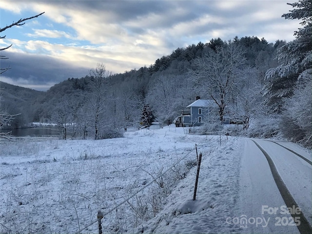 4606 Garvey Bridge Rd, Crumpler, NC 28617 - view of mountain background featuring a heavily wooded area