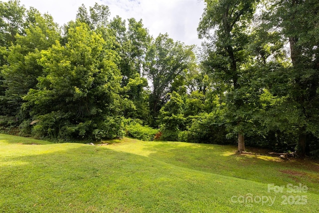 1206 Bottle Brush Ln, Harrisburg, NC 28075 - photo 42
