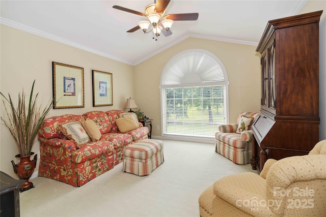 865 Saint Paul Church Rd, Clover, SC 29710 - photo 20