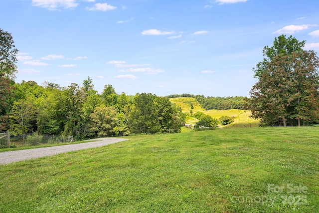 TBD Don Felmet Rd, Marshall, NC 28753 - photo 12