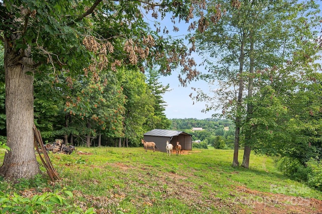 TBD Don Felmet Rd, Marshall, NC 28753 - photo 13