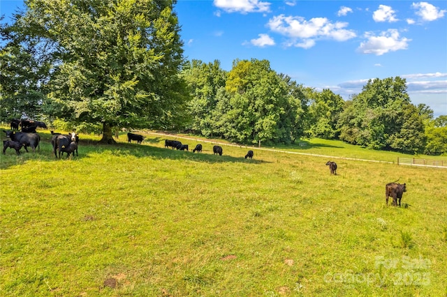 000 J And W Rd, Olin, NC 28660