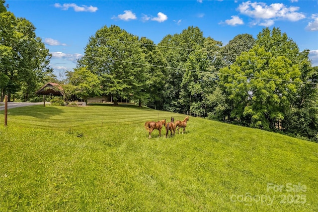000 J And W Rd, Olin, NC 28660