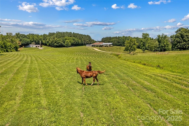 000 J And W Rd, Olin, NC 28660