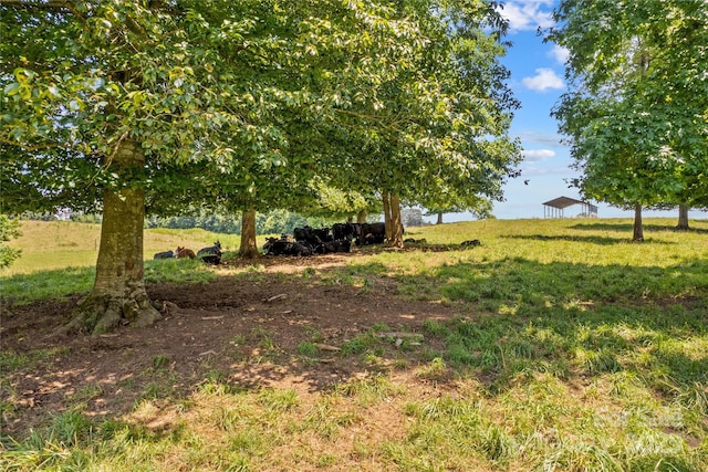 000 J And W Rd, Olin, NC 28660