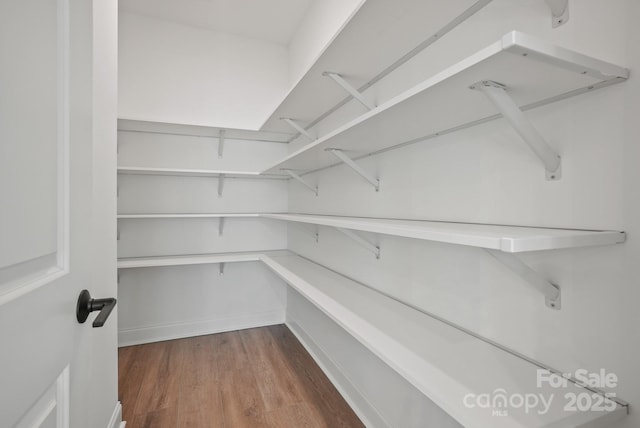 9515 Coast Laurel Ave NW, Concord, NC 28027 - view of pantry