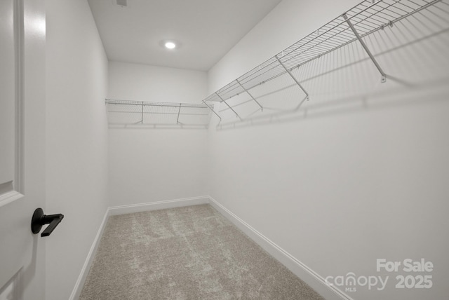 9515 Coast Laurel Ave NW, Concord, NC 28027 - walk in closet with carpet flooring