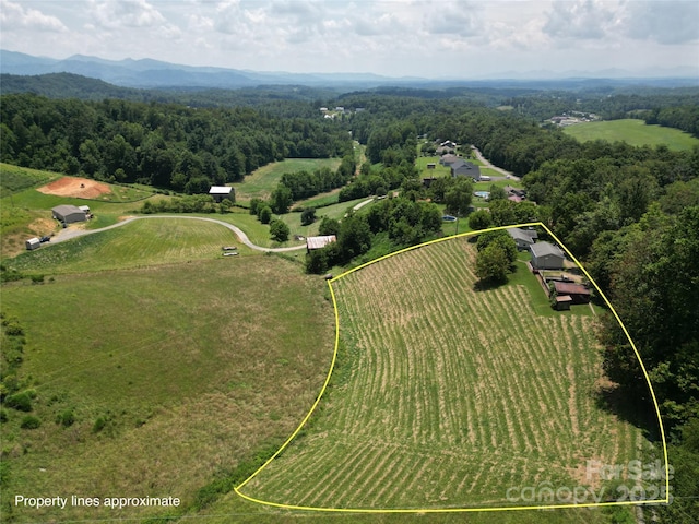 560 Bailey Mountain Rd, Mars Hill, NC 28754 - view of rural area with property boundaries highlighted and farmland