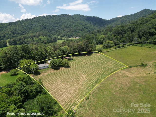 560 Bailey Mountain Rd, Mars Hill, NC 28754 - aerial view of sparsely populated area featuring property boundaries highlighted and a heavily wooded area