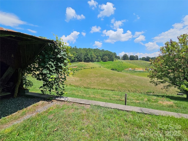 560 Bailey Mountain Rd, Mars Hill, NC 28754 - view of yard with a view of rural / pastoral area