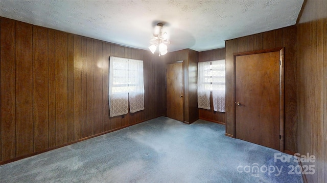 560 Bailey Mountain Rd, Mars Hill, NC 28754 - unfurnished bedroom with carpet flooring, wood walls, and a textured ceiling