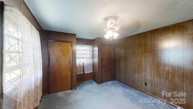 560 Bailey Mountain Rd, Mars Hill, NC 28754 - unfurnished room with a ceiling fan, wooden walls, and carpet