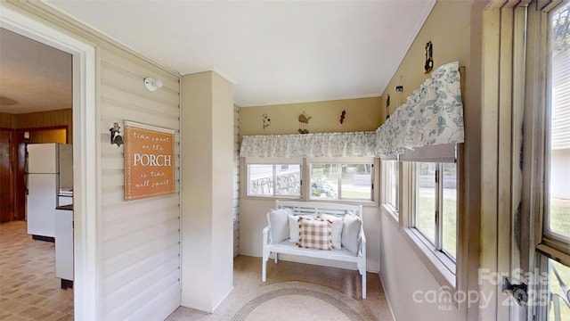560 Bailey Mountain Rd, Mars Hill, NC 28754 - sunroom / solarium with plenty of natural light