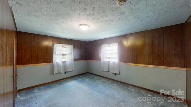 560 Bailey Mountain Rd, Mars Hill, NC 28754 - carpeted empty room with a smoke detector and wood walls