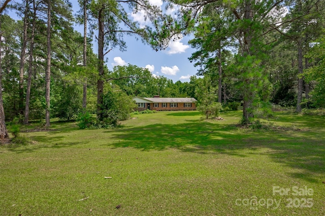 904 State Highway 200, Winnsboro, SC 29180 - photo 3