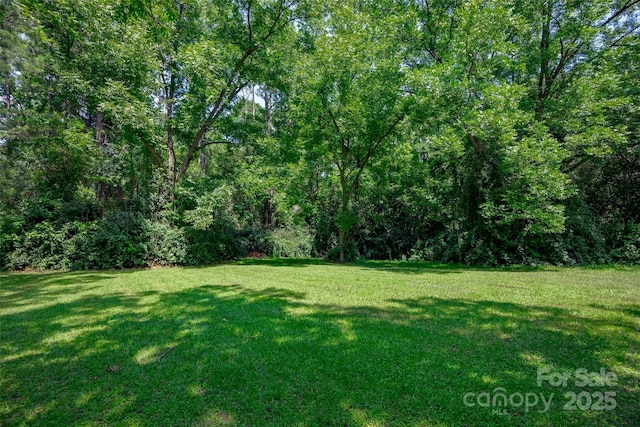 904 State Highway 200, Winnsboro, SC 29180 - photo 29