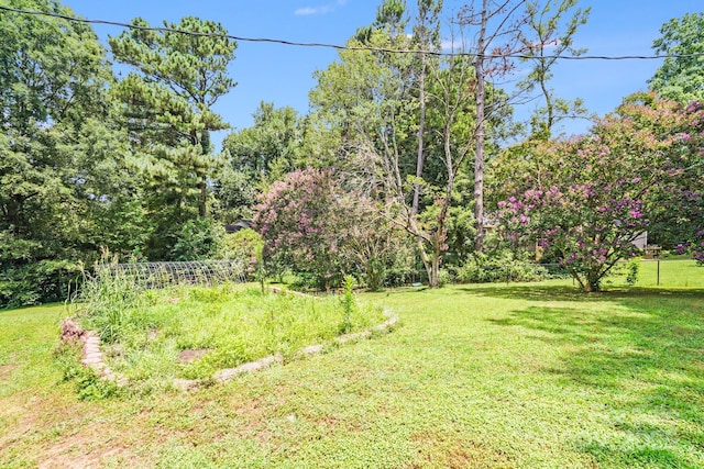 1716 Sue St, Monroe, NC 28110 - photo 23