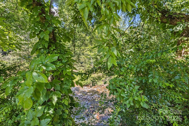 362 S Spring St, Hot Springs, NC 28743 - photo 45