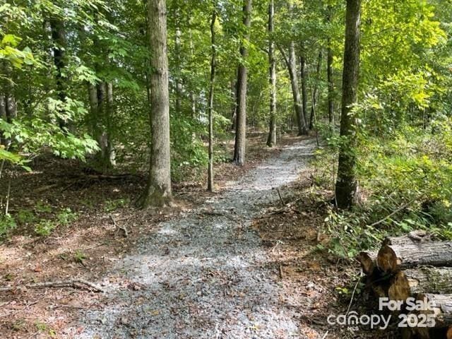 141 Maplewood Ct, Hudson, NC 28638 - view of tree filled area