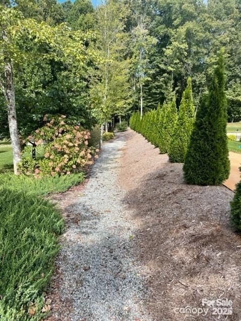 141 Maplewood Ct, Hudson, NC 28638 - view of community featuring a wooded view