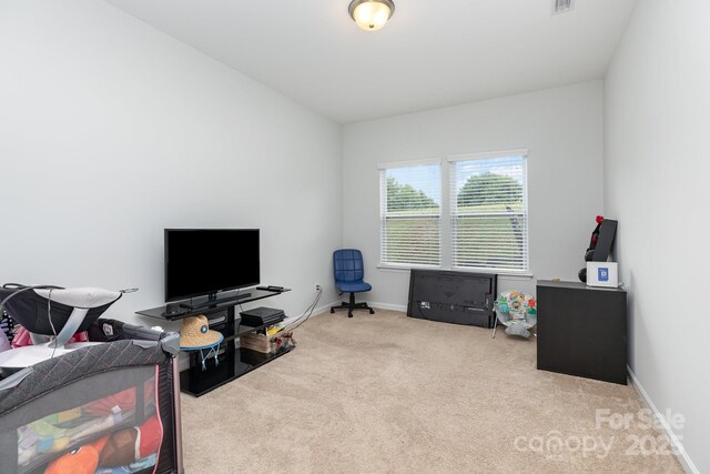 10904 Flintshire Rd, Mint Hill, NC 28227 - photo 19