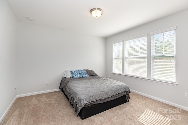10904 Flintshire Rd, Mint Hill, NC 28227 - photo 30