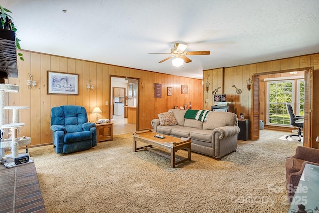 1361 Jack Mckinney Rd, Rutherfordton, NC 28139 - photo 16
