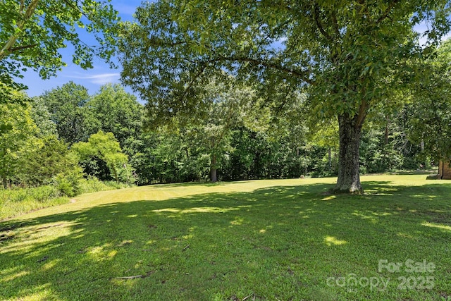 1361 Jack Mckinney Rd, Rutherfordton, NC 28139 - photo 37