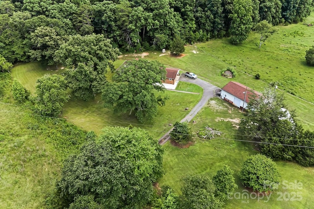 1361 Jack Mckinney Rd, Rutherfordton, NC 28139 - photo 46
