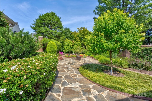 5604 Yorke St NW, Concord, NC 28027 - view of yard