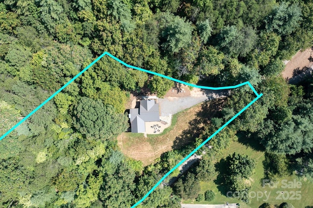 54 Weldon Way, Fairview, NC 28730 - aerial view of property's location featuring property parcel outlined