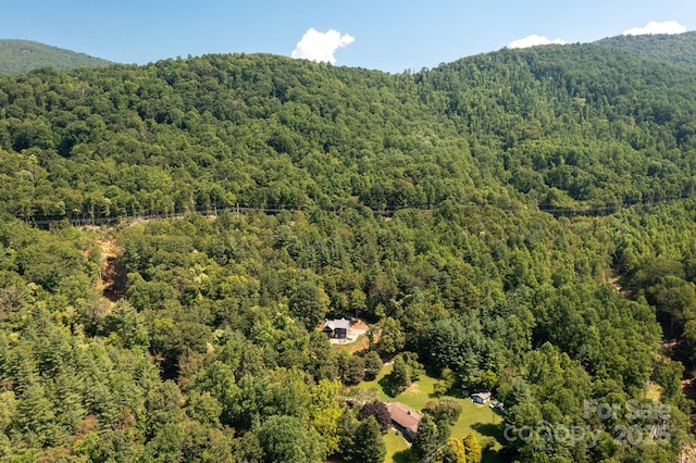 54 Weldon Way, Fairview, NC 28730 - aerial view of a forest