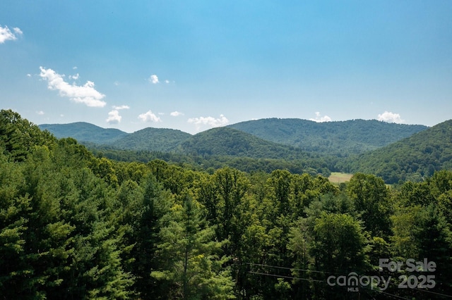 54 Weldon Way, Fairview, NC 28730 - view of mountain backdrop featuring a forest