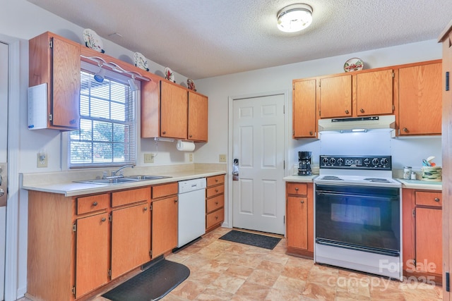 4364 White Blossom Trl, Conover, NC 28613 - photo 17