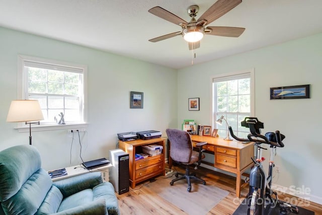 162 Martin Branch Rd, Leicester, NC 28748 - photo 26