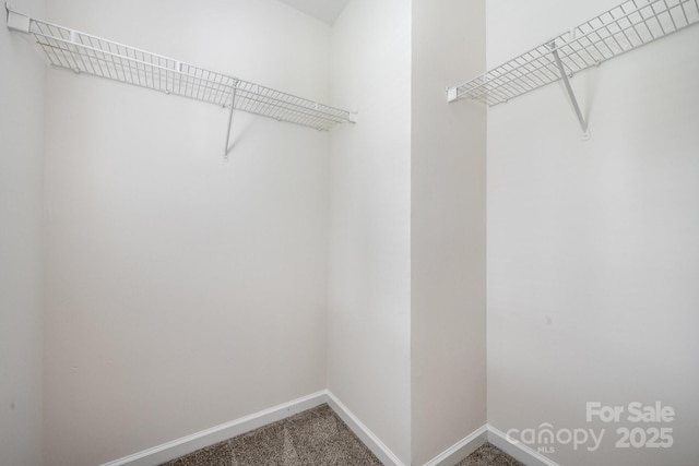 6721 Charter Hills Rd, Charlotte, NC 28277 - walk in closet with carpet floors