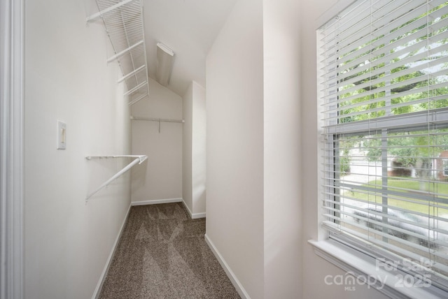 6721 Charter Hills Rd, Charlotte, NC 28277 - walk in closet with carpet floors