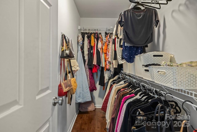 9846 Bailey Rd, Cornelius, NC 28031 - walk in closet with wood finished floors
