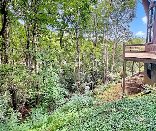 236 Valleyview Dr, Topton, NC 28781 - photo 24